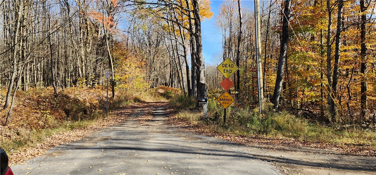 98 Wooliver Road, Orwell, New York image 6
