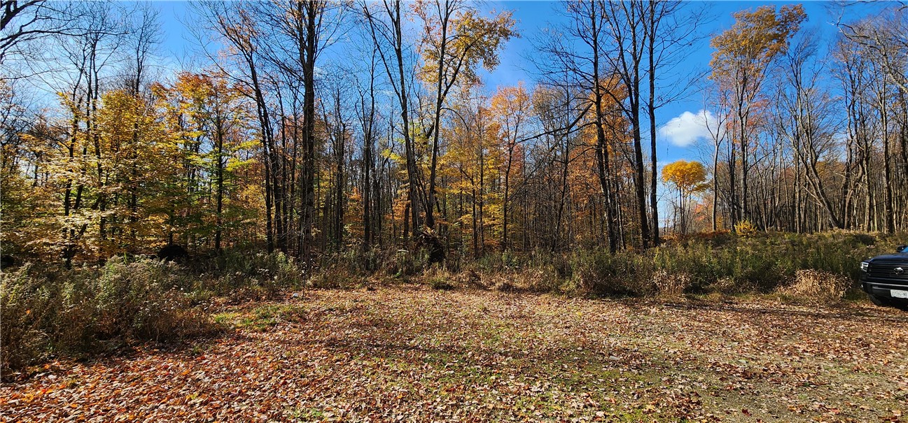 98 Wooliver Road, Orwell, New York image 5