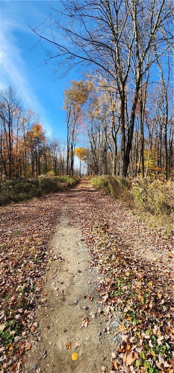 98 Wooliver Road, Orwell, New York image 8