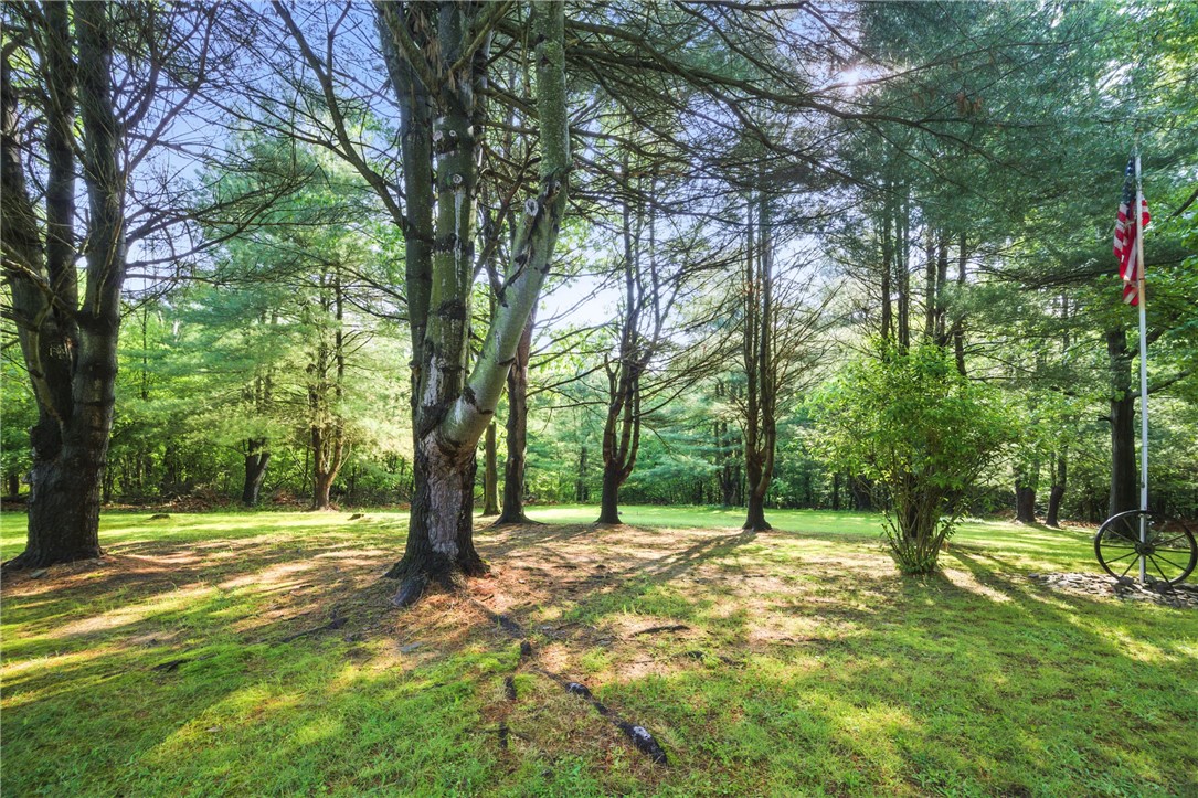 11522 Thornapple Hl, Pulteney, New York image 18