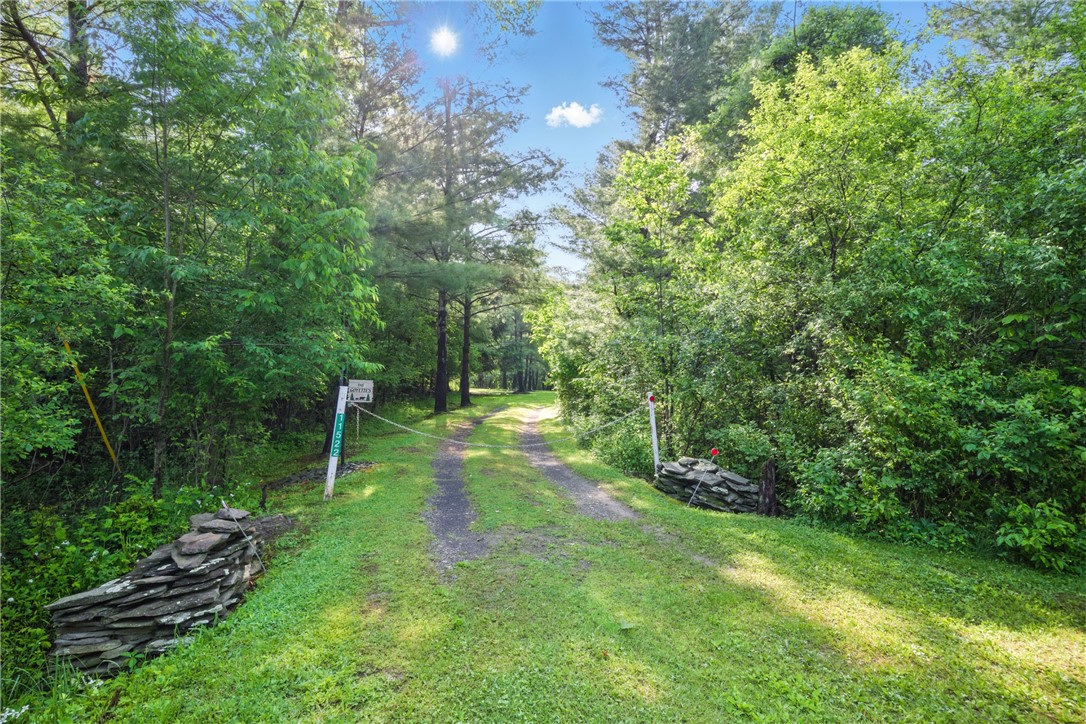 11522 Thornapple Hl, Pulteney, New York image 1