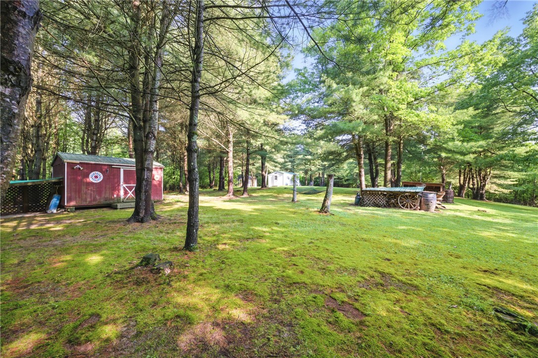 11522 Thornapple Hl, Pulteney, New York image 17