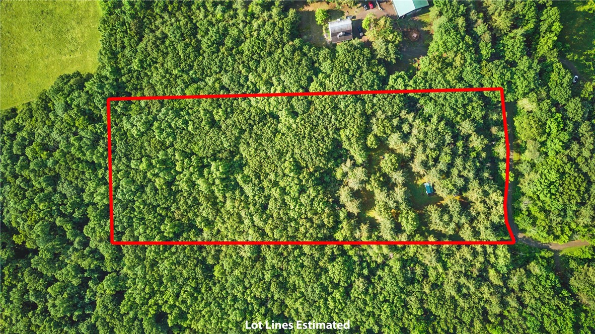 11522 Thornapple Hl, Pulteney, New York image 21