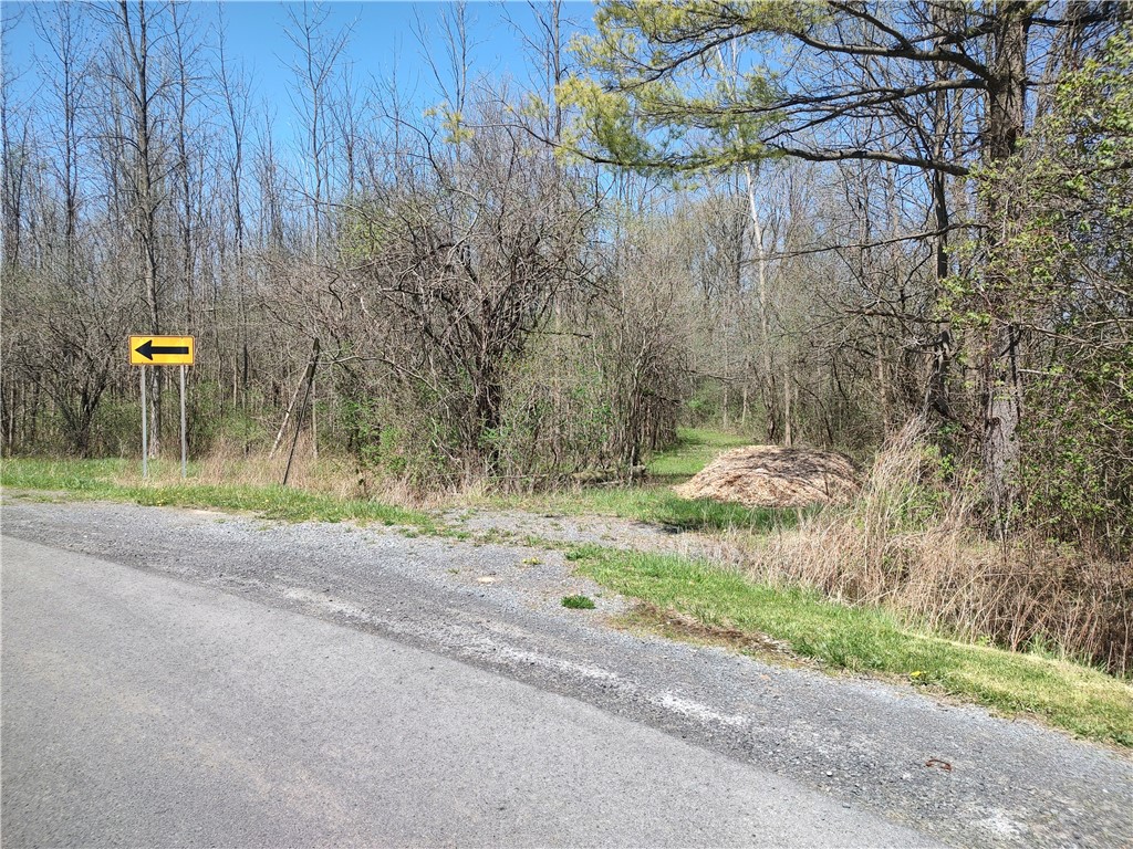 Clinton Street, Seneca Falls, New York image 3