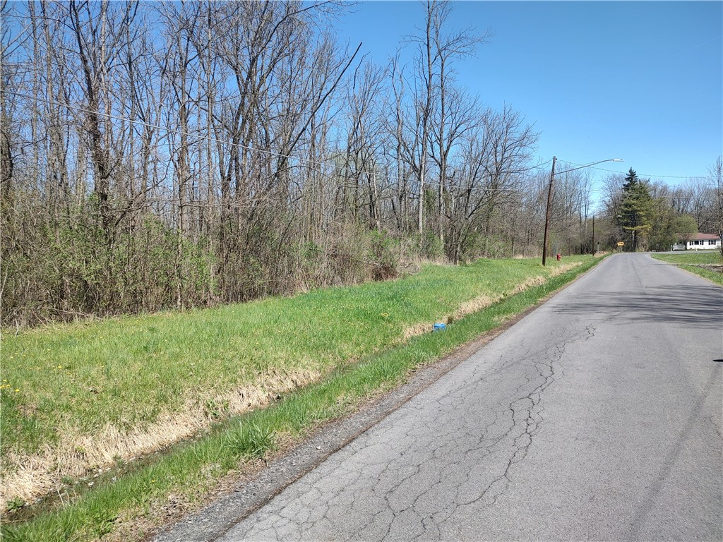 Clinton Street, Seneca Falls, New York image 6
