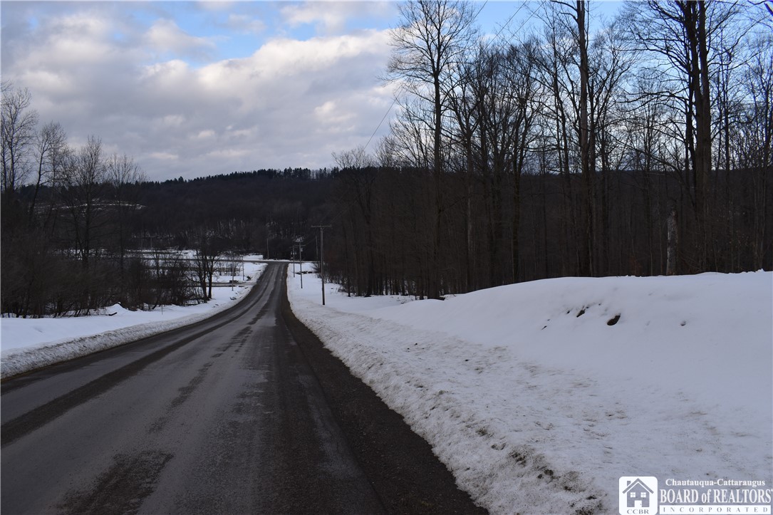 Edson & Harris Hill Rd., Gerry, New York image 44