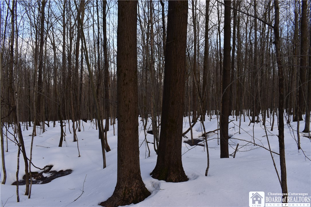 Edson & Harris Hill Rd., Gerry, New York image 4