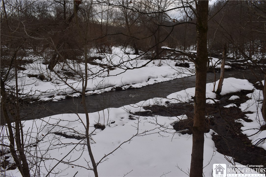 Edson & Harris Hill Rd., Gerry, New York image 8