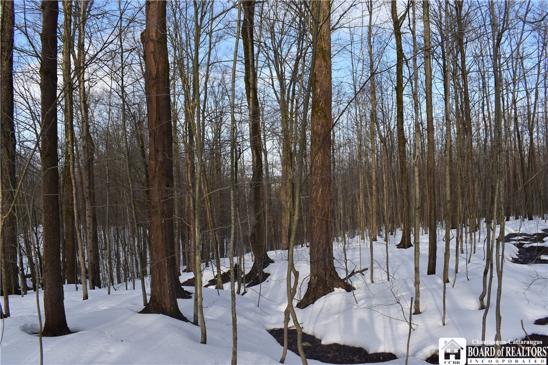 Edson & Harris Hill Rd., Gerry, New York image 1