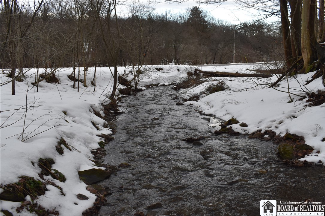 Edson & Harris Hill Rd., Gerry, New York image 10