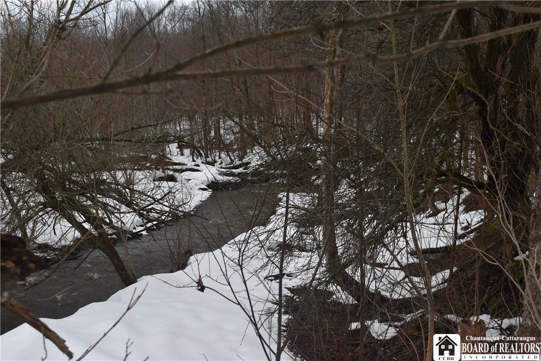 Edson & Harris Hill Rd., Gerry, New York image 9