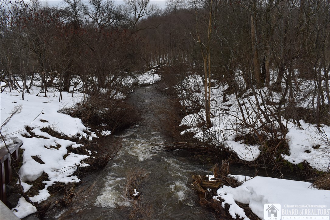 Edson & Harris Hill Rd., Gerry, New York image 7