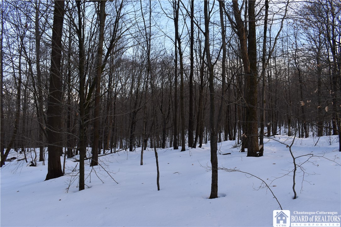 Edson & Harris Hill Rd., Gerry, New York image 16