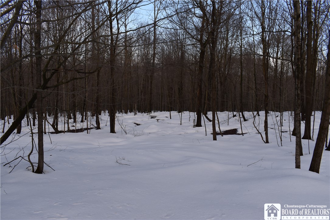 Edson & Harris Hill Rd., Gerry, New York image 18