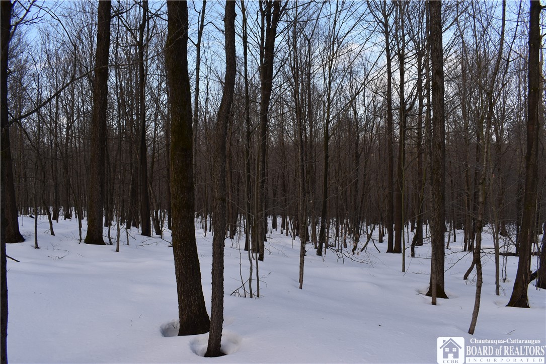 Edson & Harris Hill Rd., Gerry, New York image 17