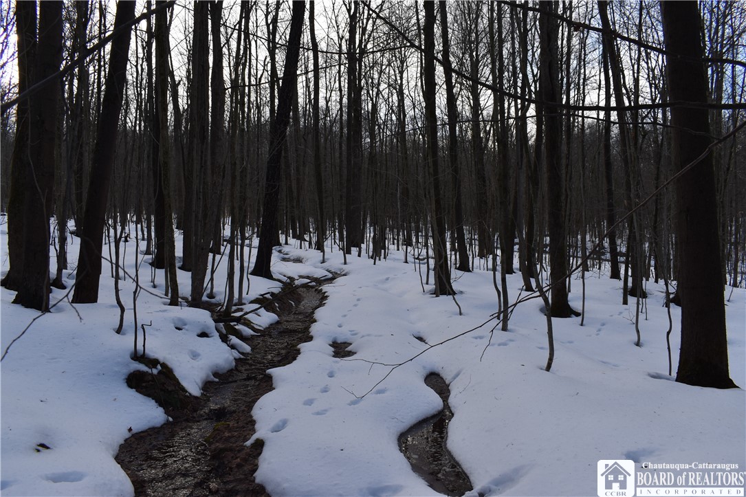 Edson & Harris Hill Rd., Gerry, New York image 15