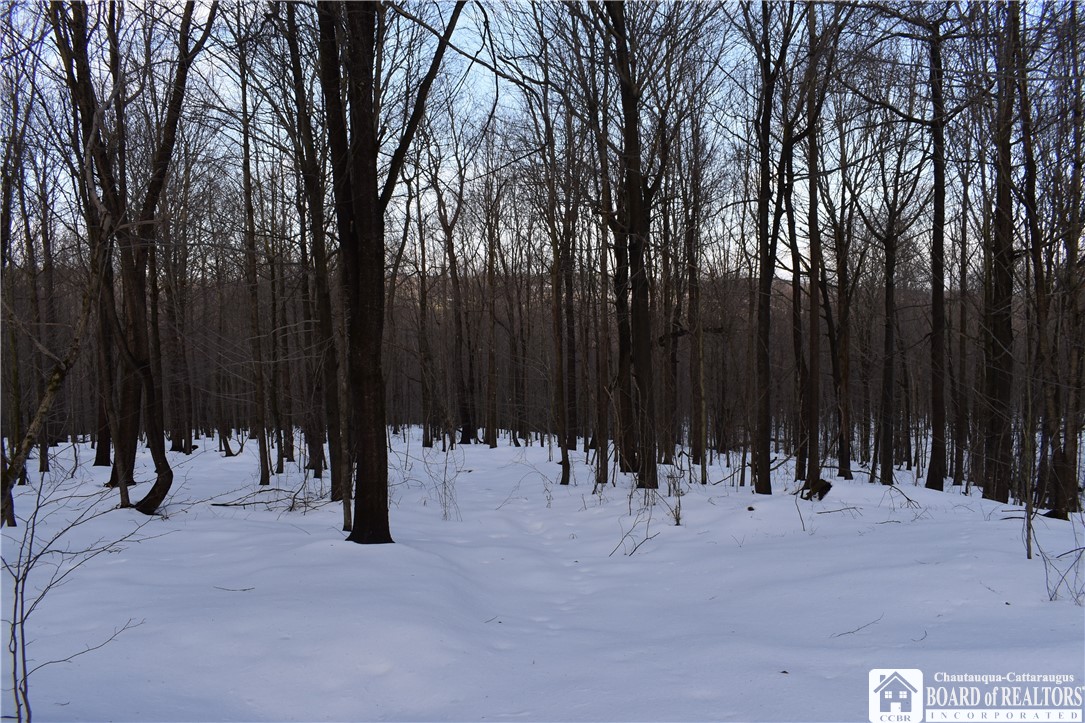 Edson & Harris Hill Rd., Gerry, New York image 19