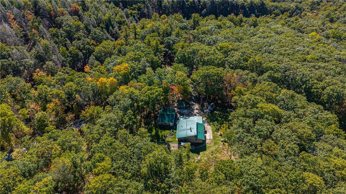 6423 Tall Oak Drive