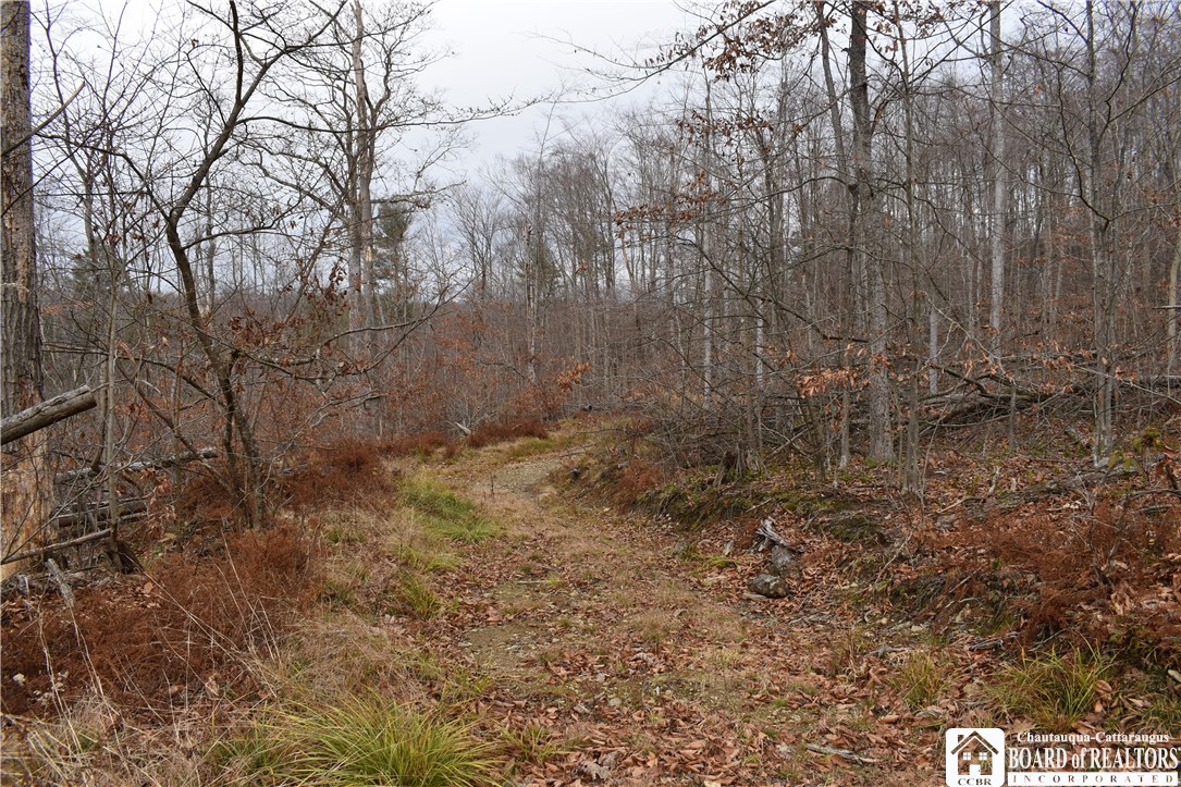 Morgan Hollow Rd., Hinsdale, New York image 4