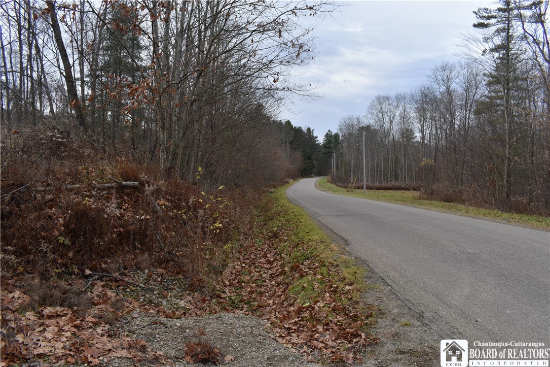 Morgan Hollow Rd., Hinsdale, New York image 43