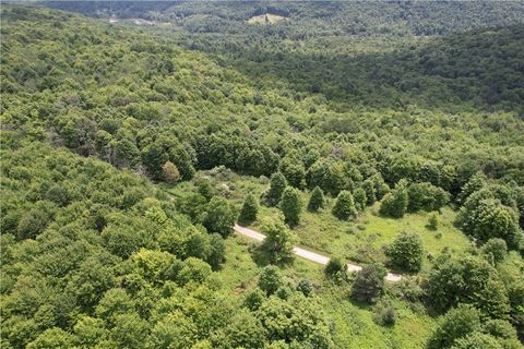 Vacant Land For Sale - 0 HELD #13 Greenbush Road<br/> Erin, NY 14838