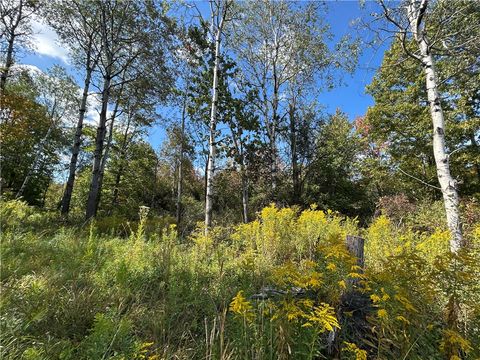 0 Pre-Emption Road Watkins Glen NY 14887
