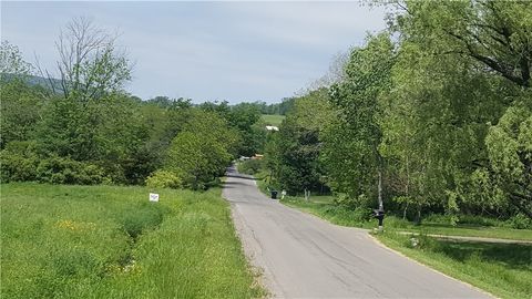 Vacant Land For Sale - 363 Van Hook Road<br/> Owego, NY 13732