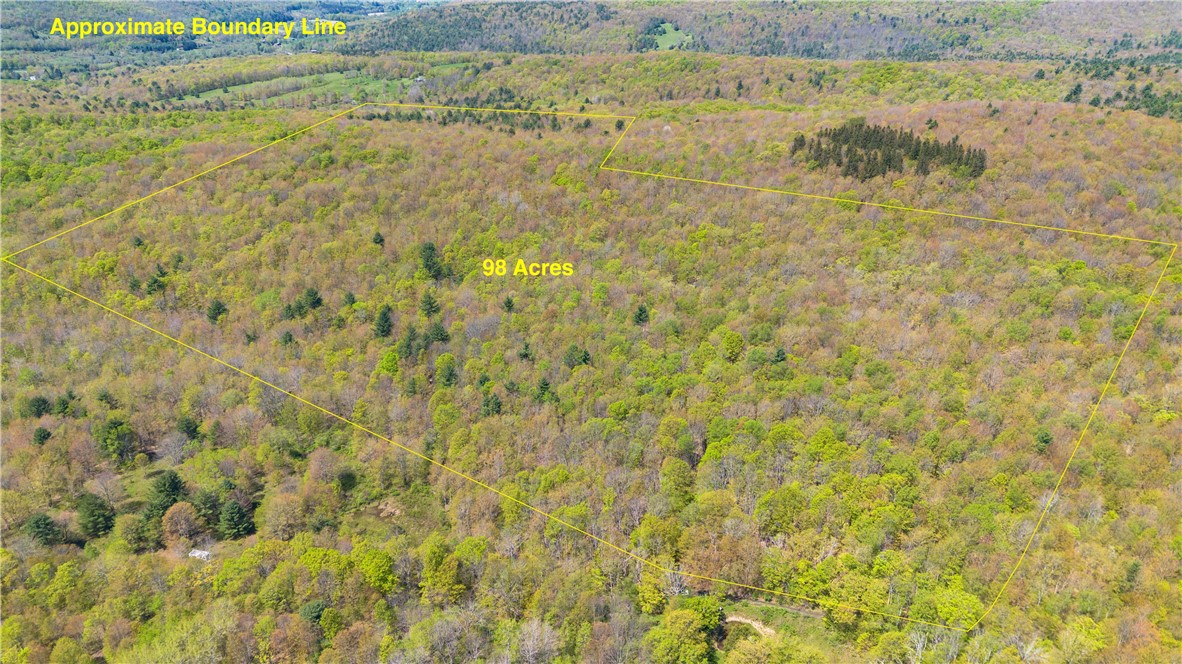 Sanly Road, Franklin, New York image 1