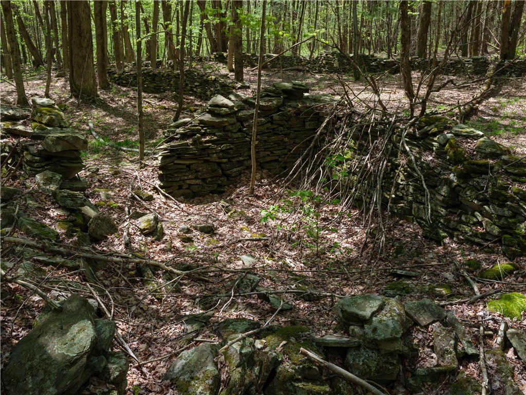 Sanly Road, Franklin, New York image 11