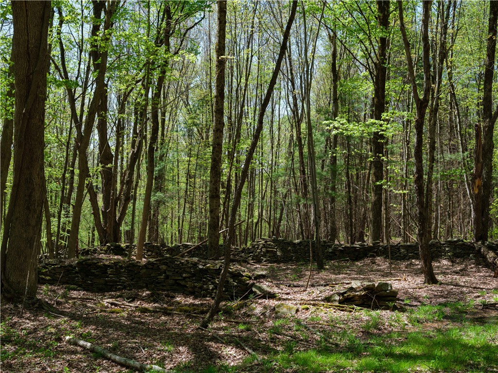Sanly Road, Franklin, New York image 10