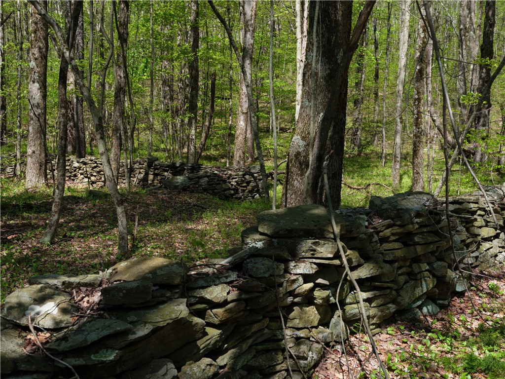 Sanly Road, Franklin, New York image 2