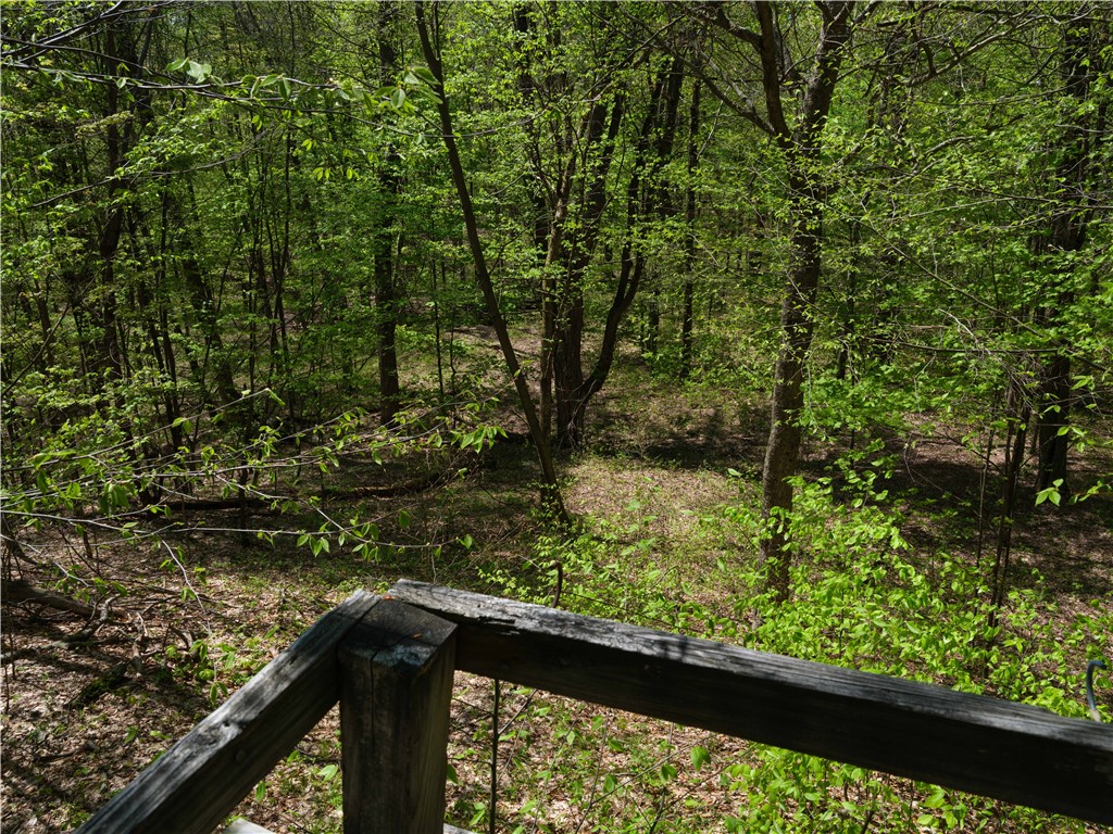 Sanly Road, Franklin, New York image 5
