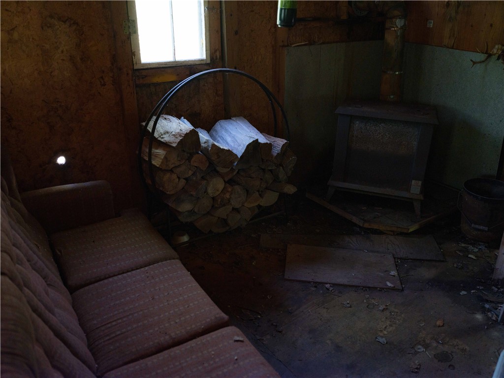 Sanly Road, Franklin, New York image 12