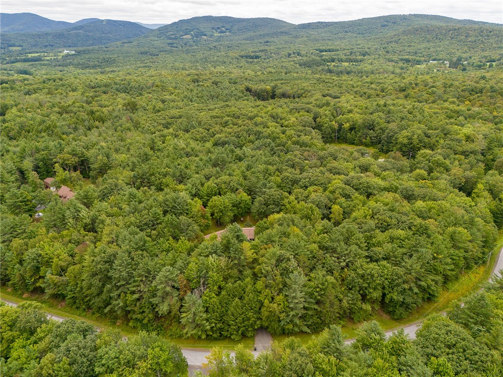 353 Woodland Drive, Jefferson, New York image 37