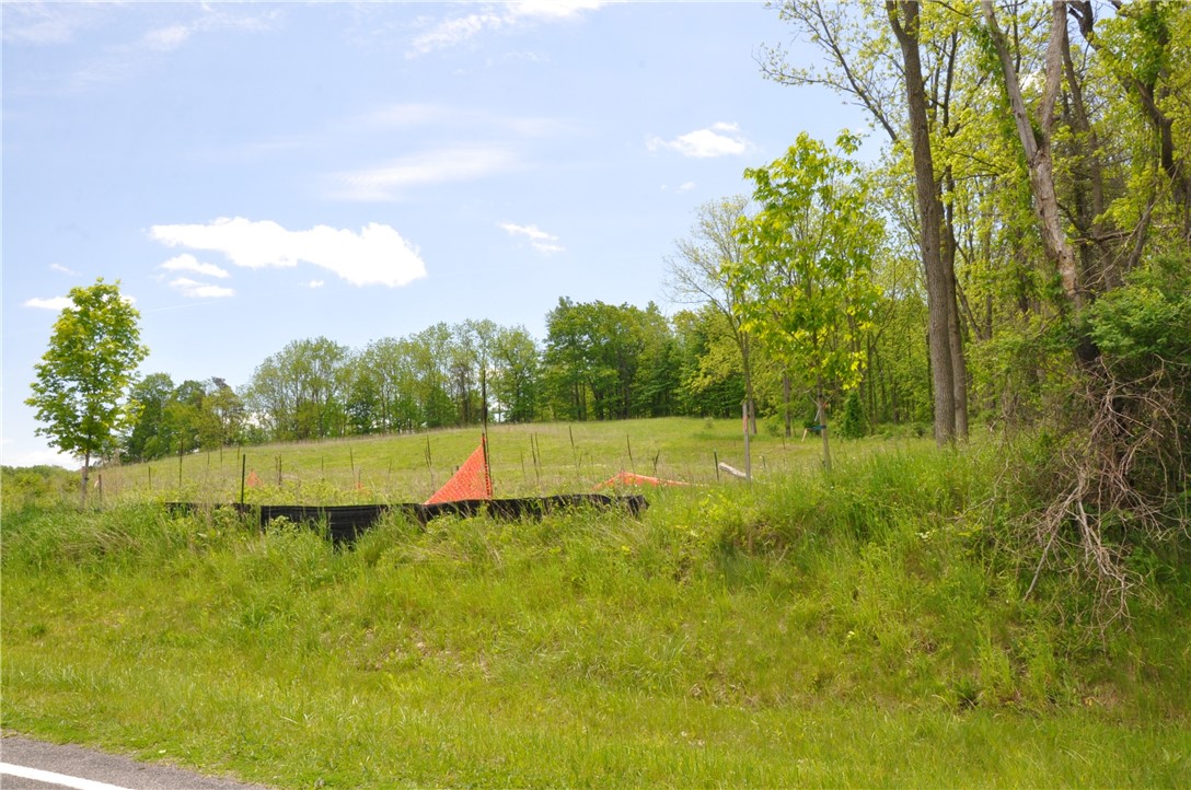 1086 Strong Road Lot 1