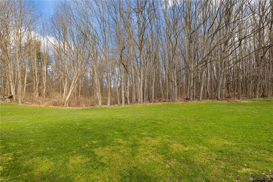 566 Dunnbridge Drive, Webster, New York image 50