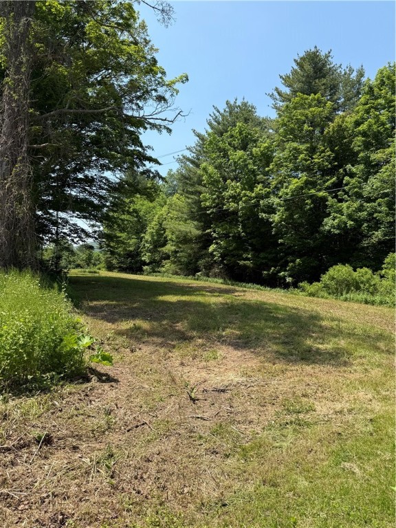 1045 Covered Bridge Road, Sidney, New York image 35