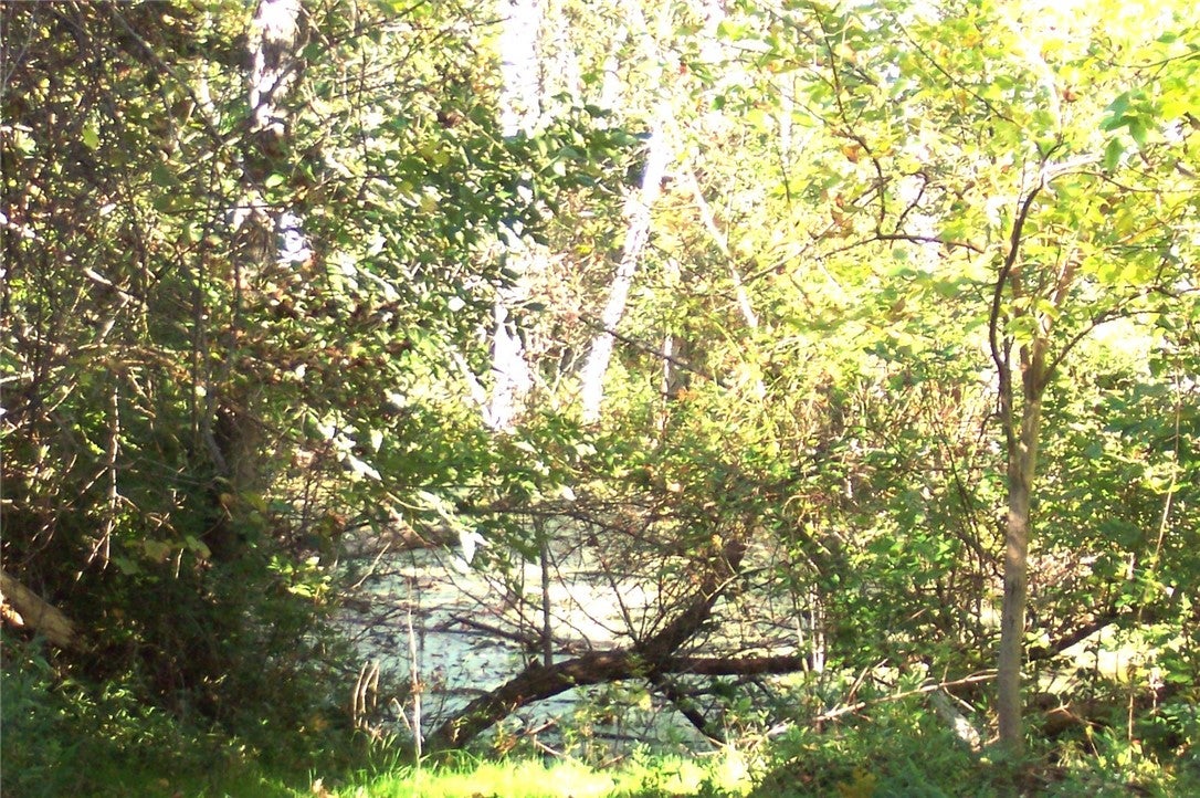 0 Ridge Road W
