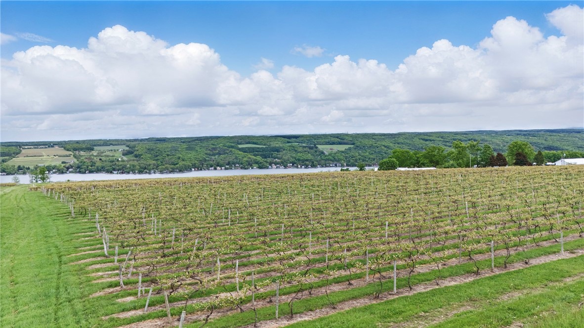 Creek Road, Mount Morris, New York image 11