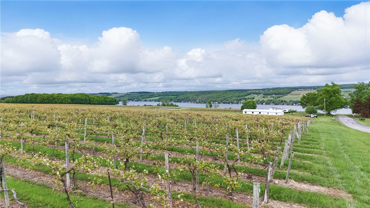 Creek Road, Mount Morris, New York image 12