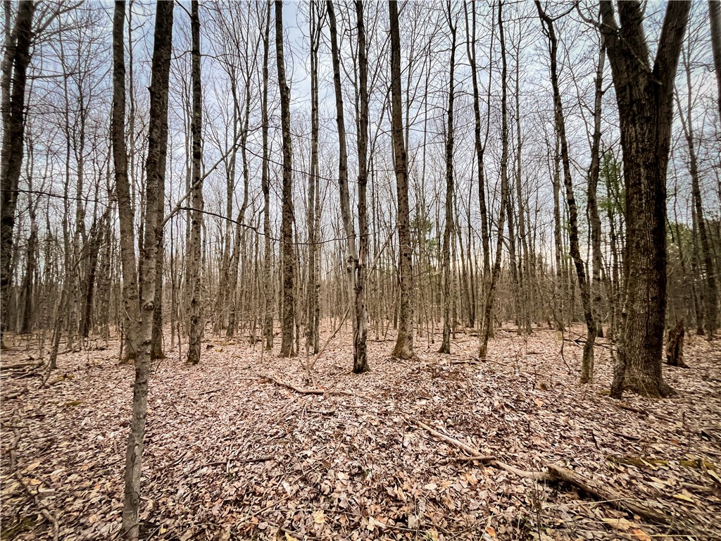 828 State Route 79, Richford, New York image 37