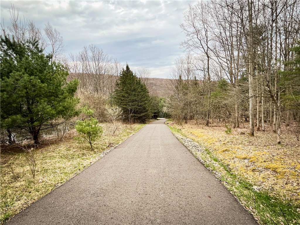 828 State Route 79, Richford, New York image 42