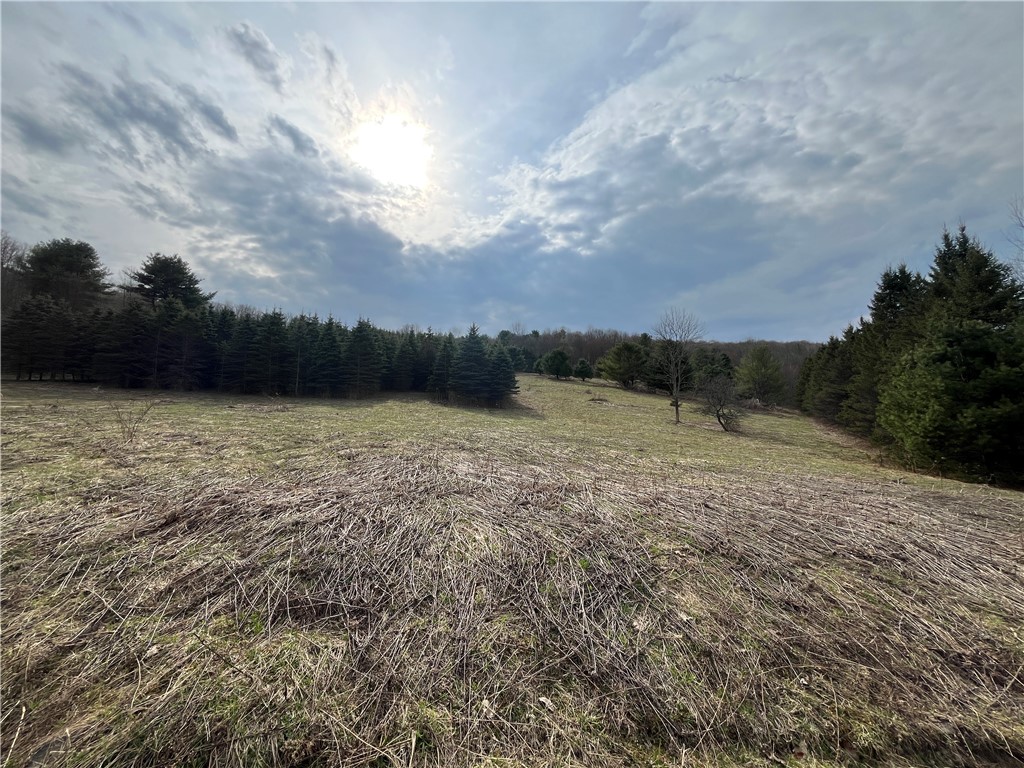 828 State Route 79, Richford, New York image 35