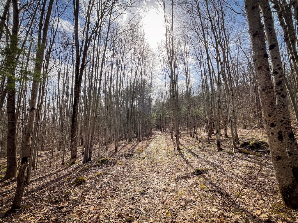 828 State Route 79, Richford, New York image 32