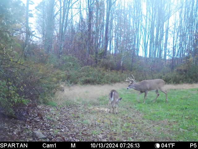 828 State Route 79, Richford, New York image 46
