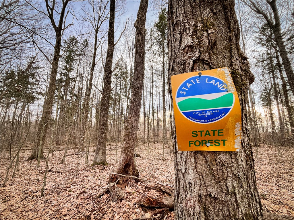 828 State Route 79, Richford, New York image 38
