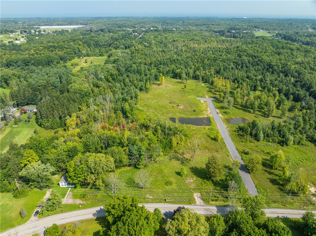 Lot 10 Clevenger Rd, Ontario, New York image 15