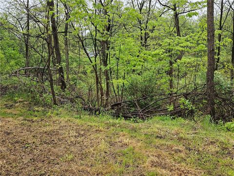 Vacant Land For Sale - 284 Berwick Turnpike<br/> Chemung County, Ashland, NY 14894