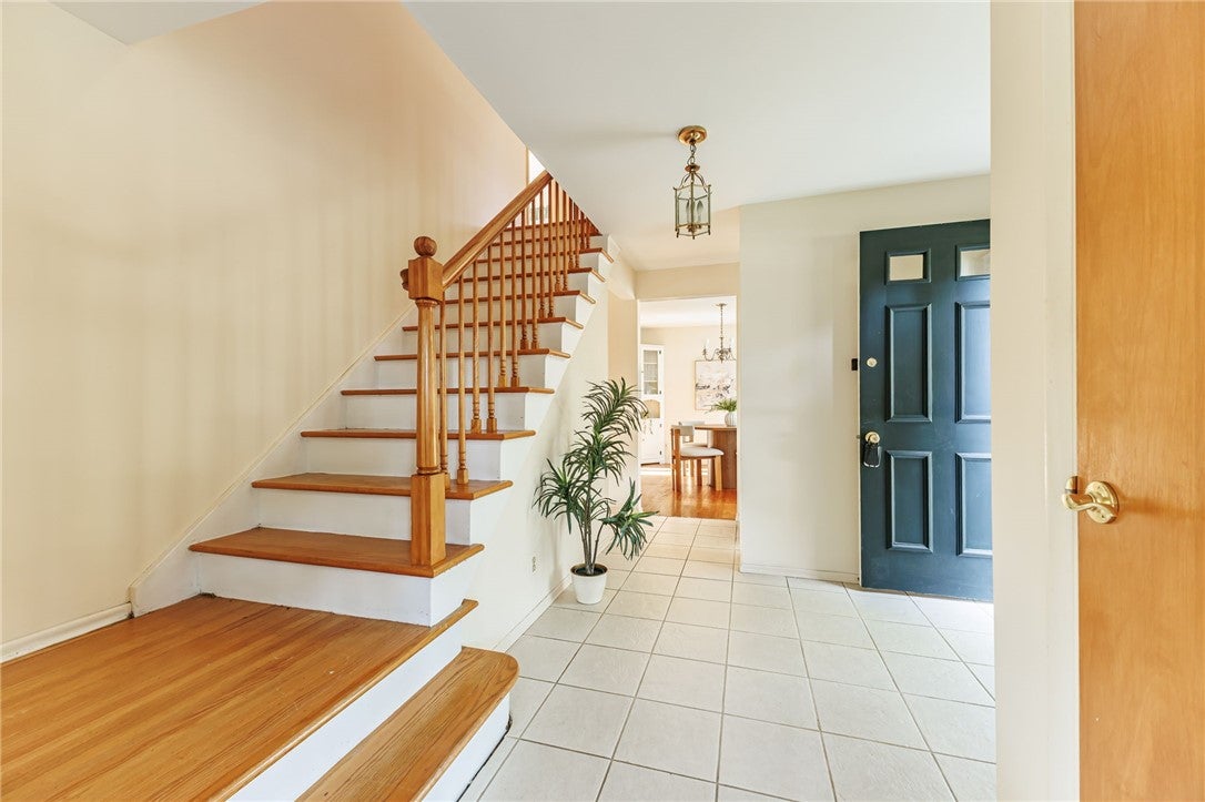 5 Buchanan Road