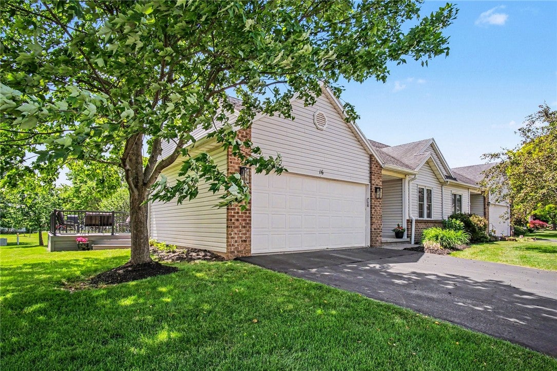 16 Daisy Lane